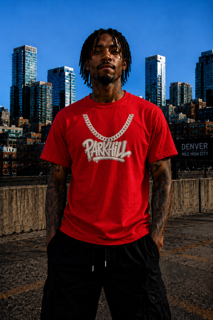 Park Hill Denver T-Shirt – Denver Streetwear Graphic Tee
